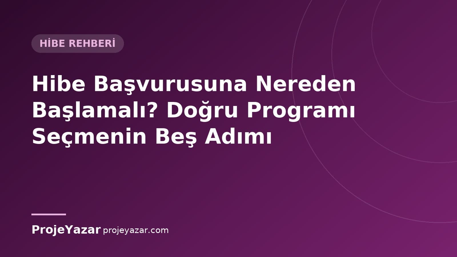 Hibe programı seçimi için yol haritası