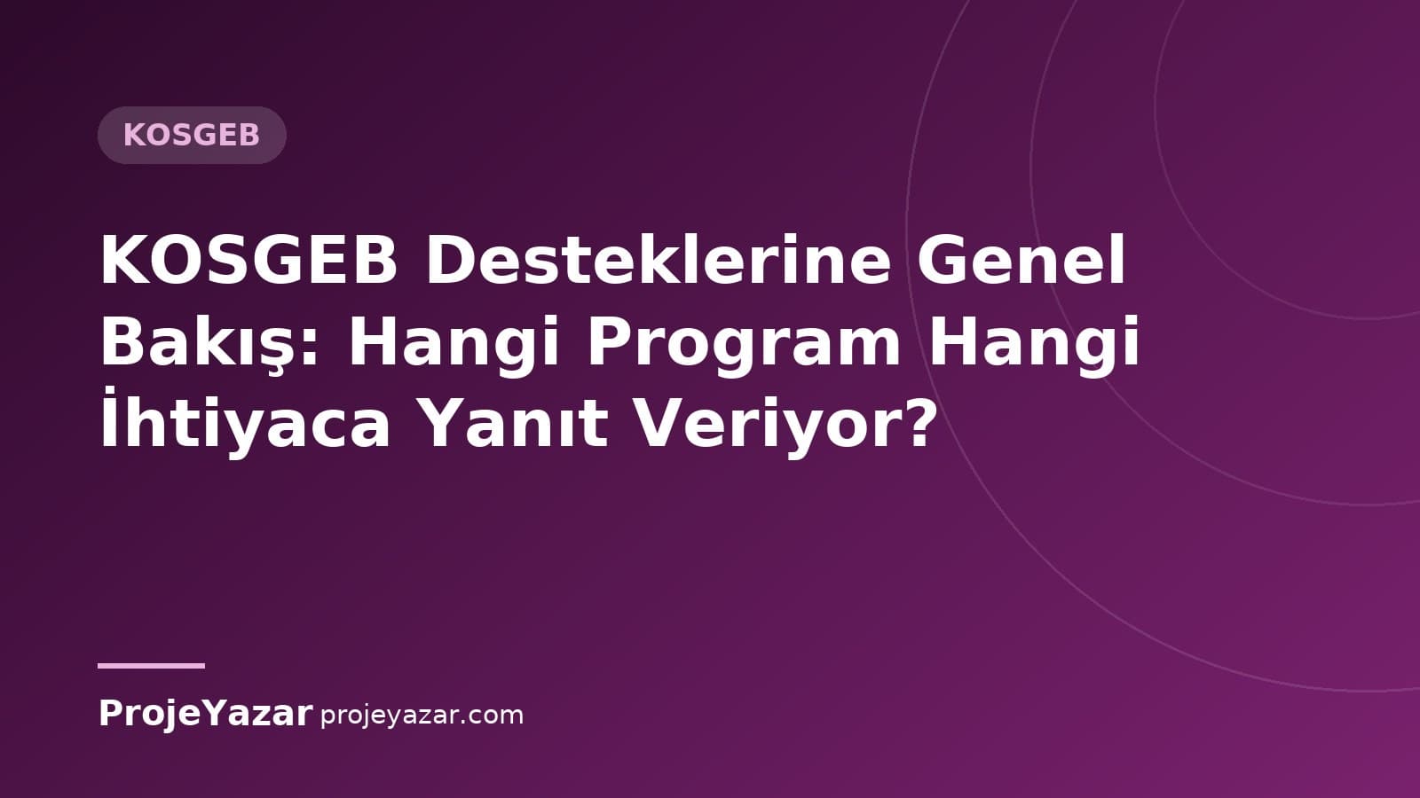 KOSGEB destek programlarına genel bakış