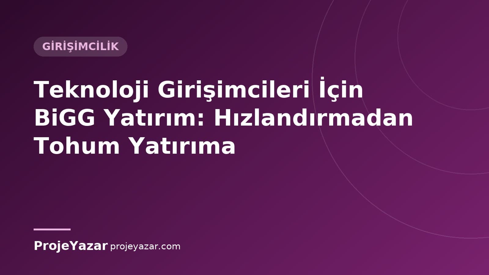 BiGG Yatırım programının aşamaları