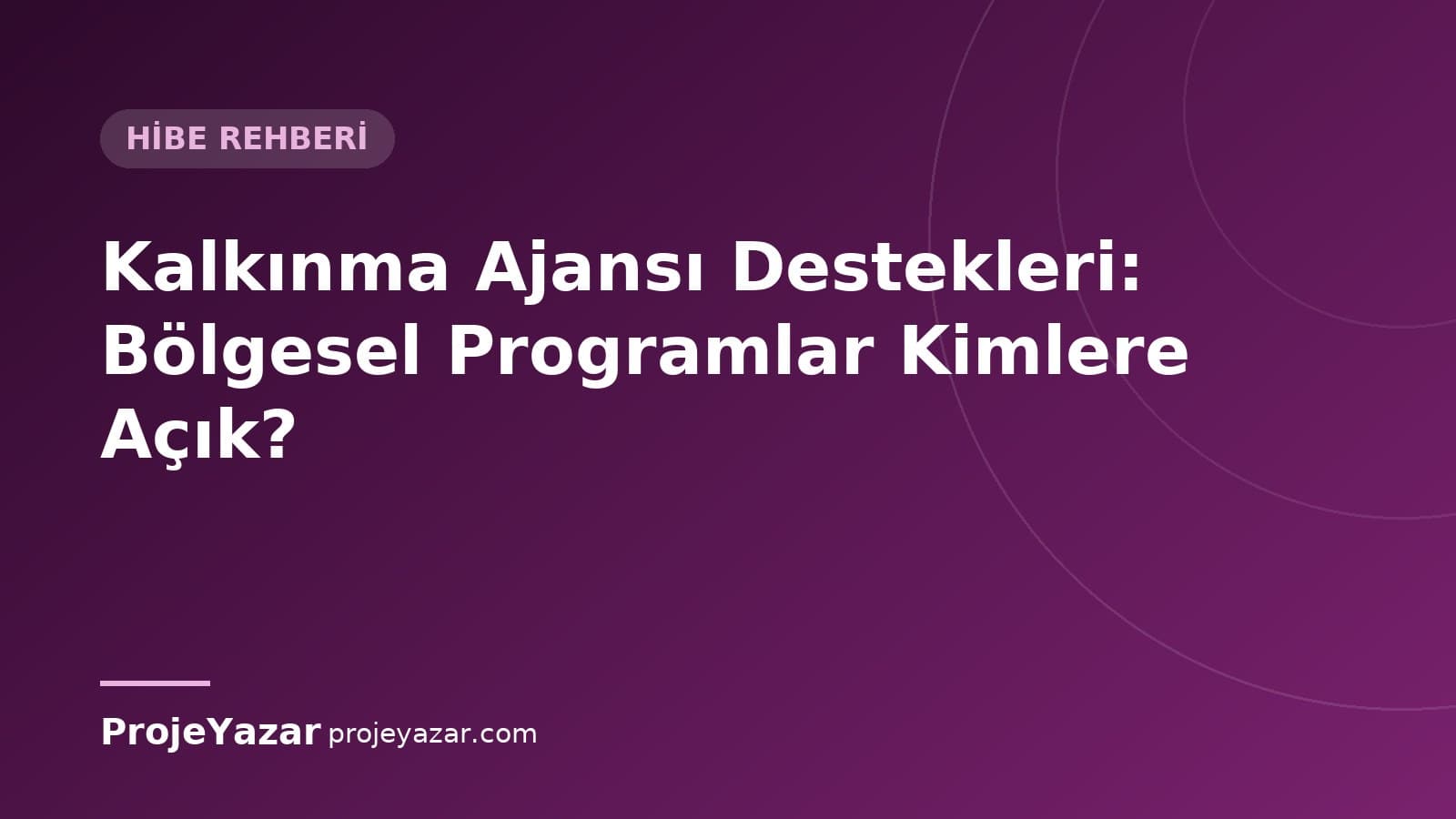 Kalkınma ajansı destek türleri